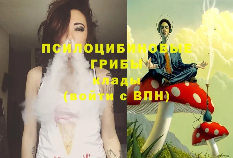 Галлюциногенные грибы Magic Shrooms Майский